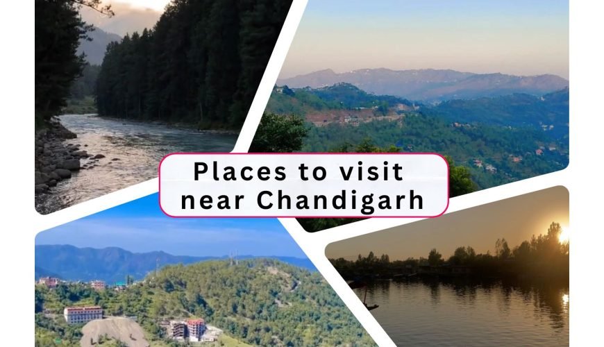 Top Places Near Chandigarh to Visit